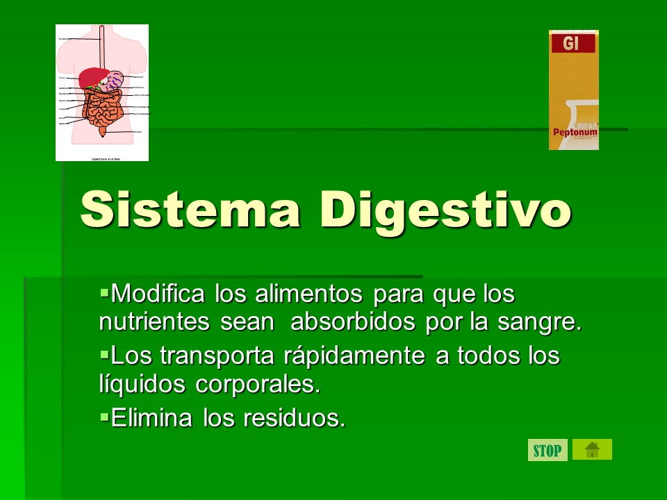 digestivo1