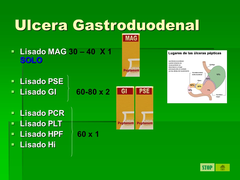 digestivo12