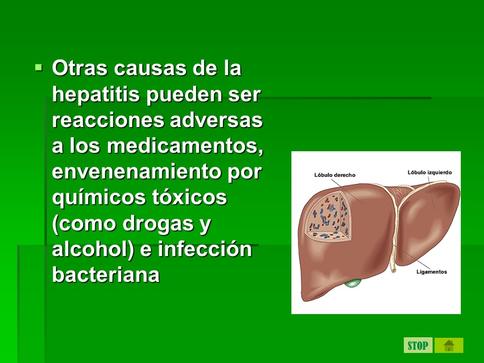 digestivo17