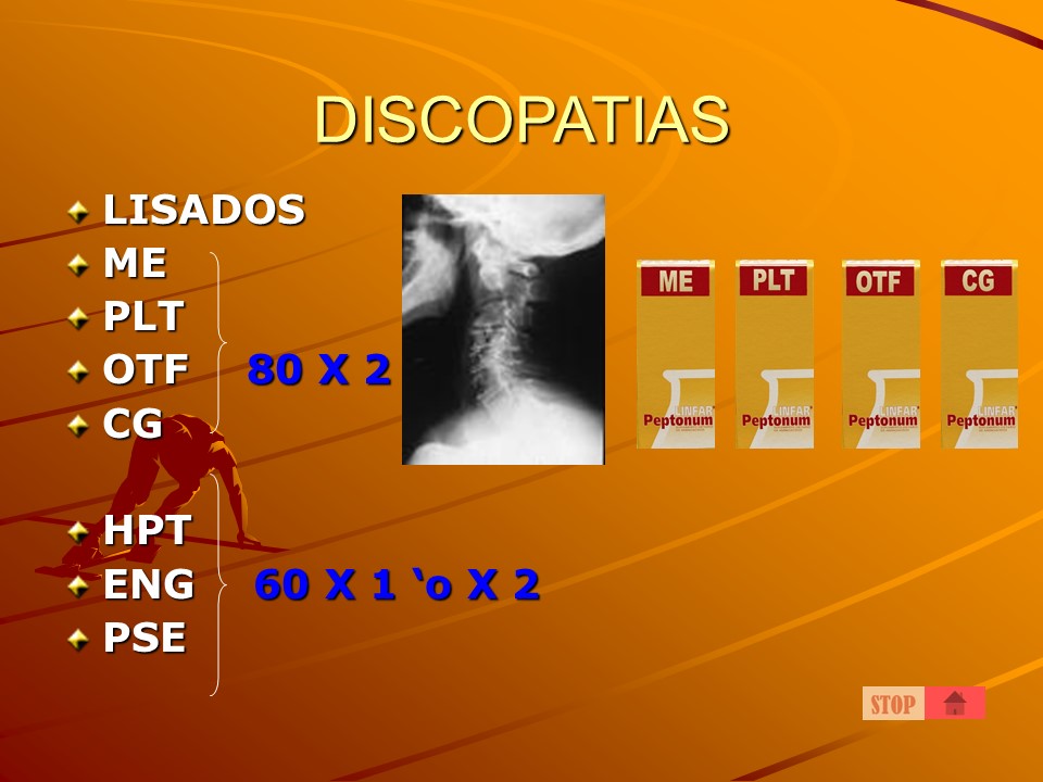 digestivo27