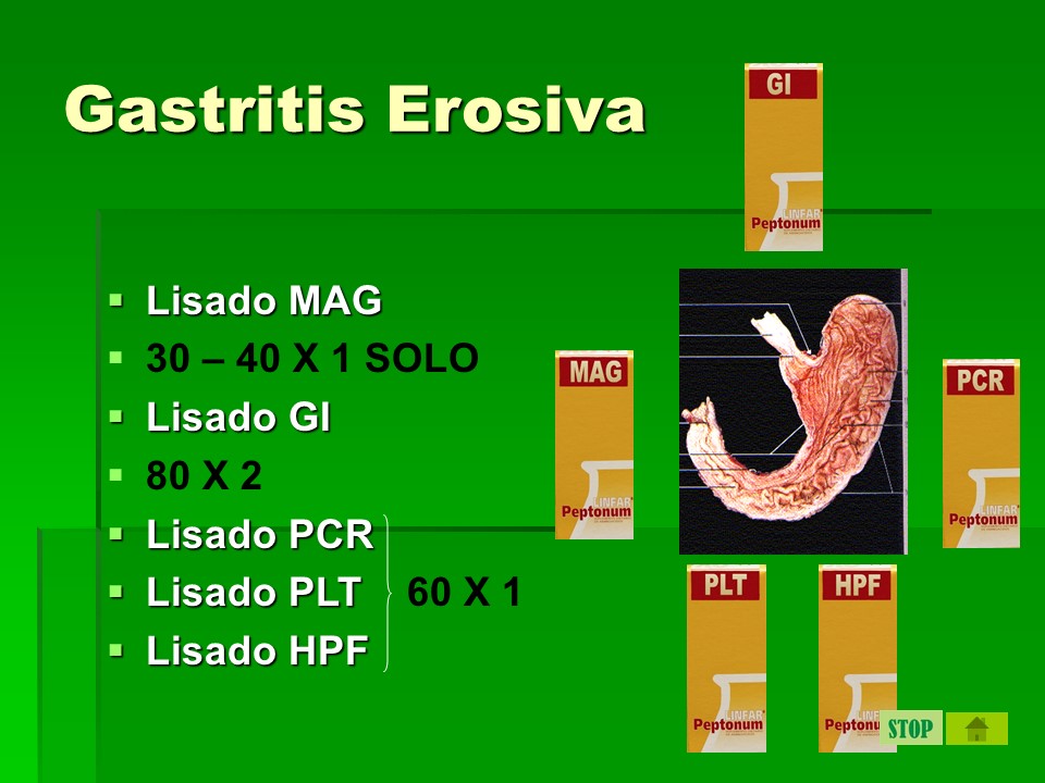 digestivo8